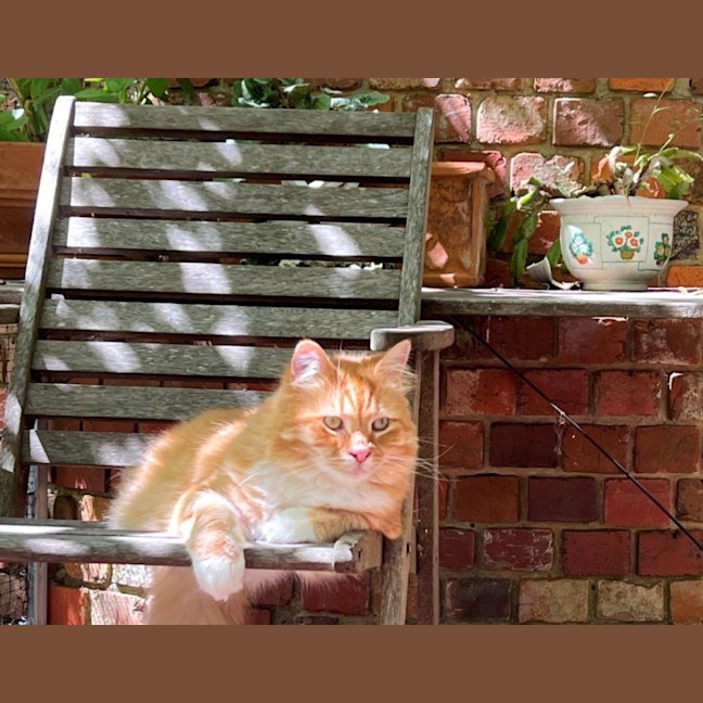 Photo of Griffin Nightingale