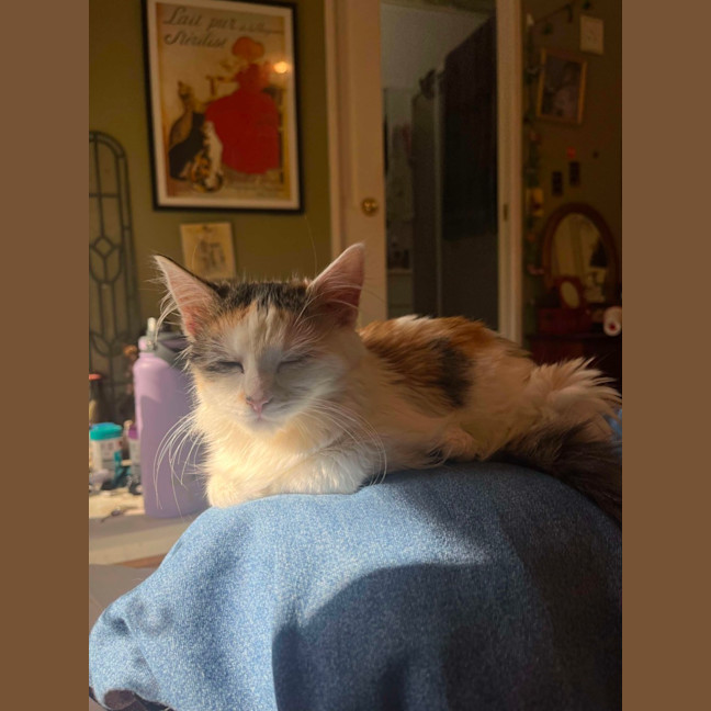 Photo of Winnie