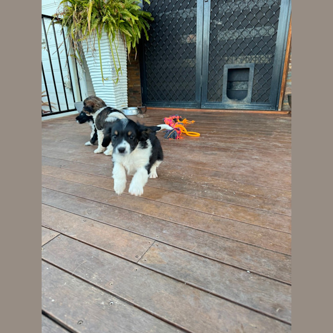 Photo of Zak
