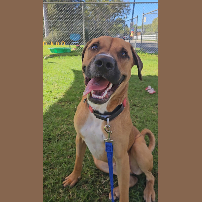 Photo of Taco