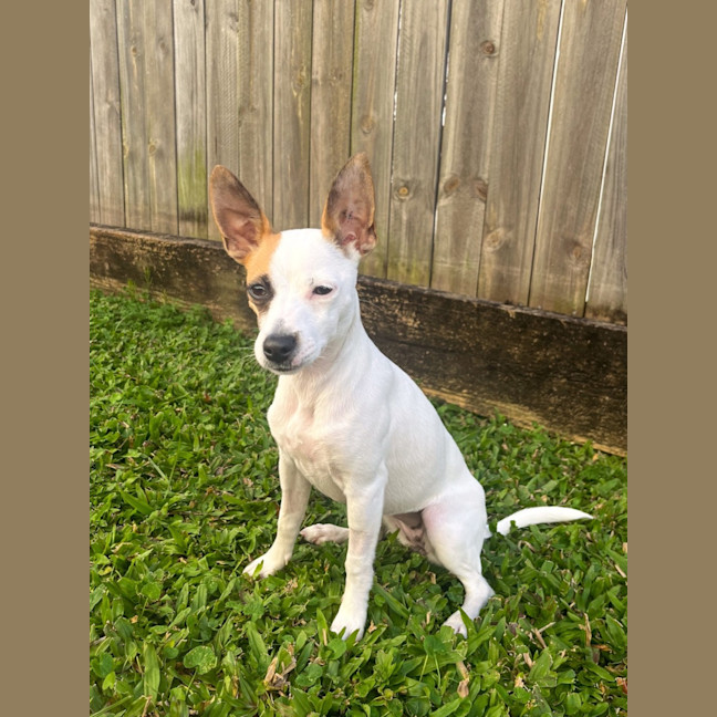 Photo of Lily