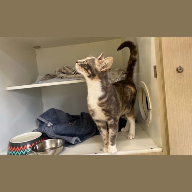 Photo of Dottie