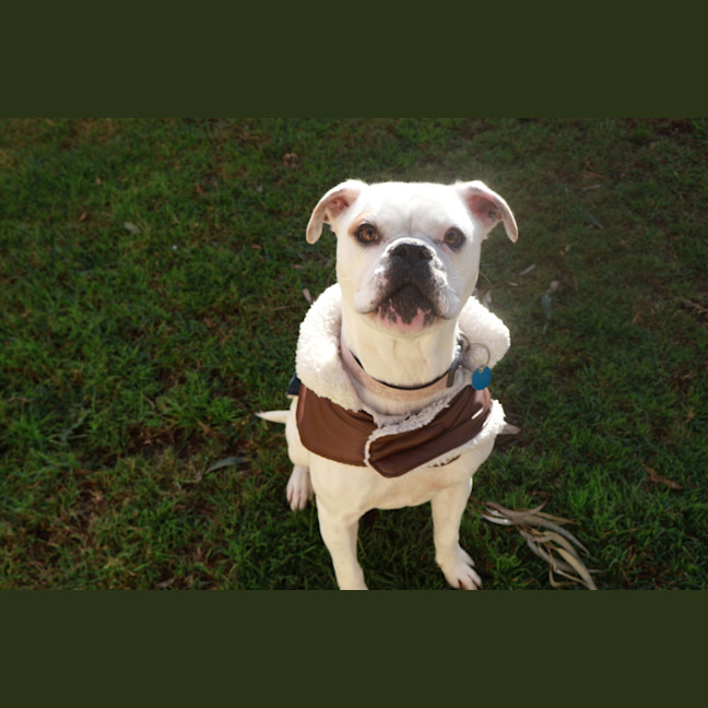 Photo of Lucy