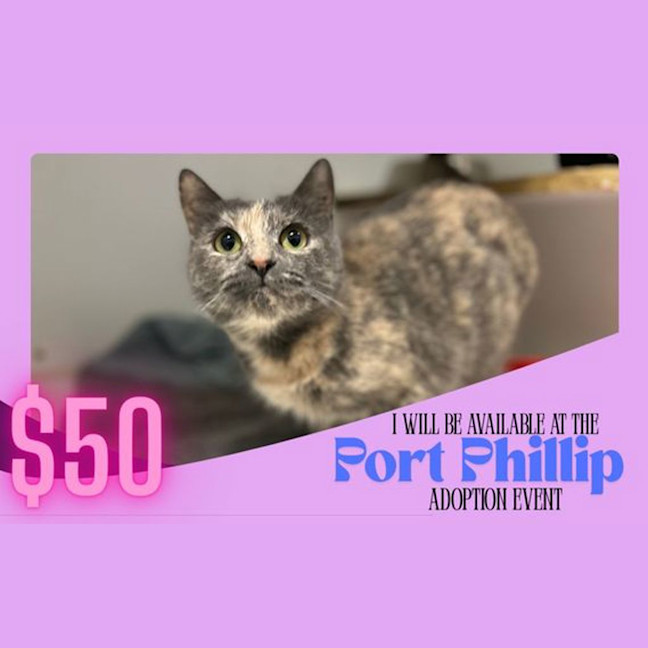 Photo of Susie From Sales