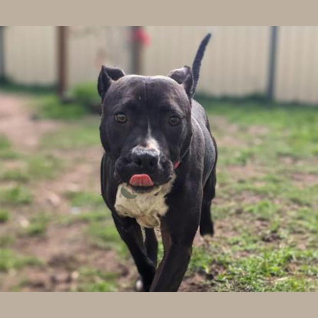 Photo of Bonita