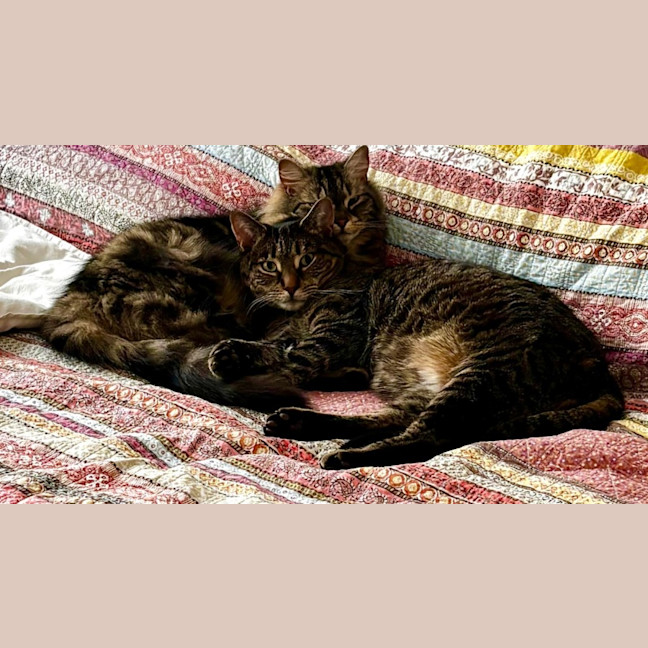 Photo of Bessie & Patch