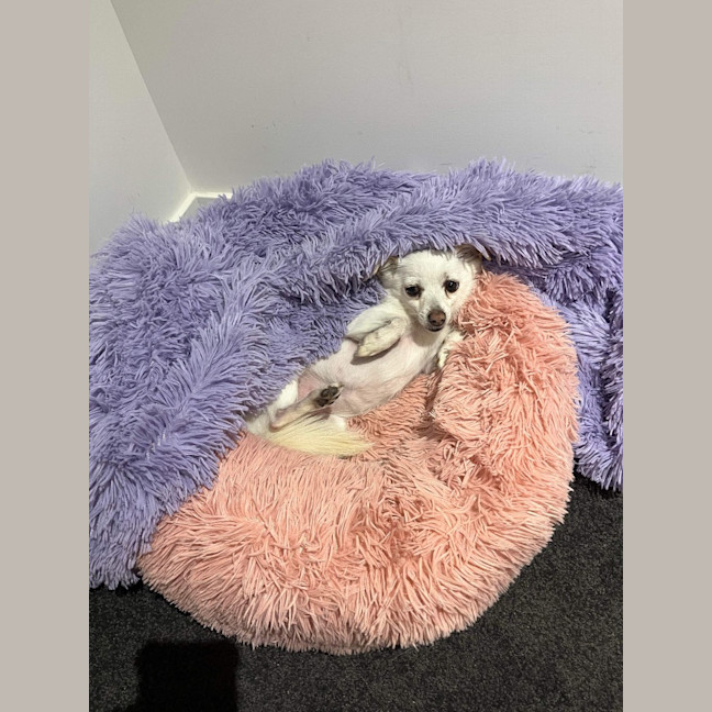 Photo of Maggie