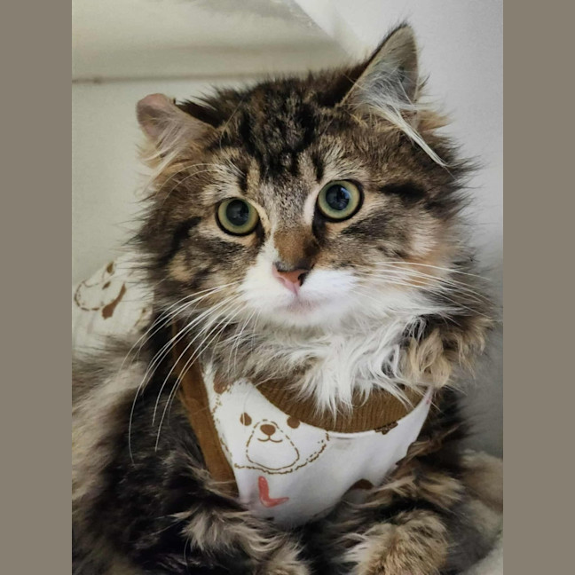 Photo of 🐭 Pinky 6420 🐭