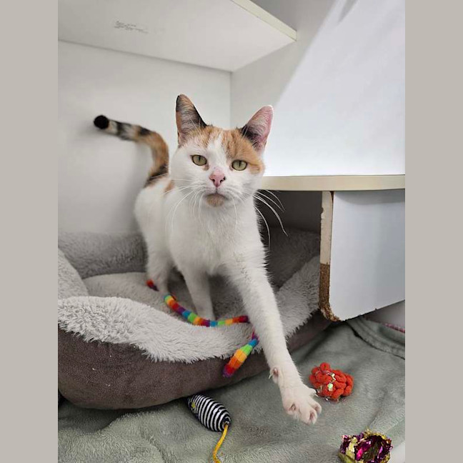 Photo of Bingo