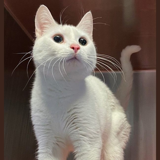 Photo of Cloud 