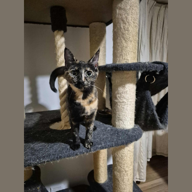Photo of Bessie