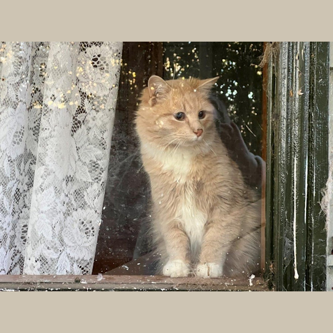 Photo of Ricardo Silvanus