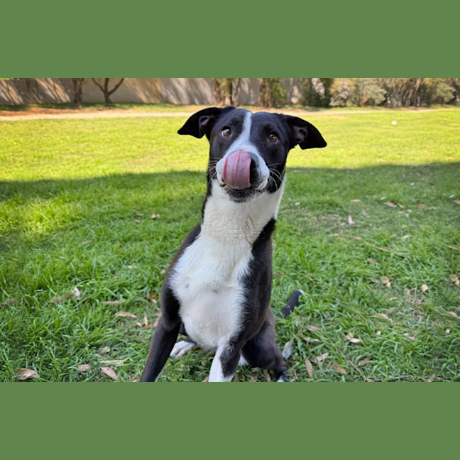 Photo of Saige
