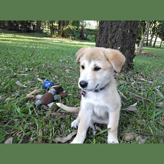 Photo of Jazz