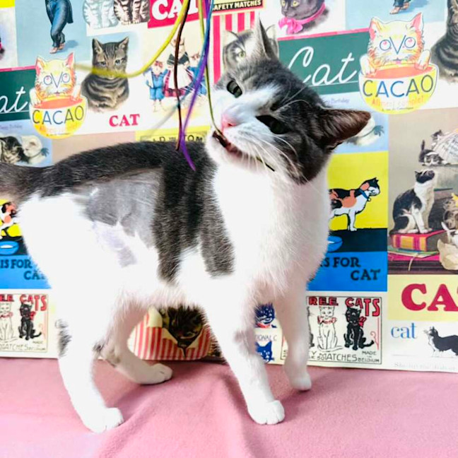 Photo of Callee   Located In Preston