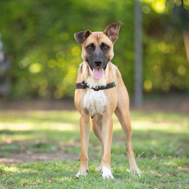 Photo of Wilma