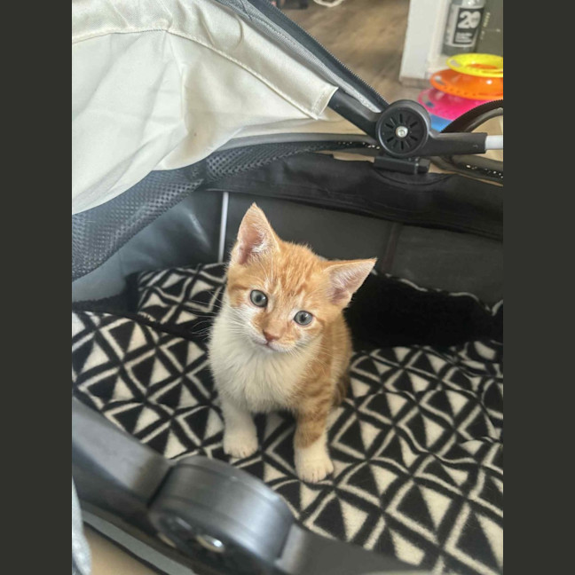 Photo of Elodie & Etienne