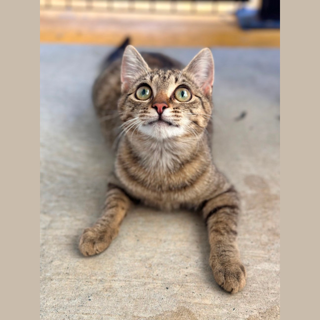 Photo of Remi