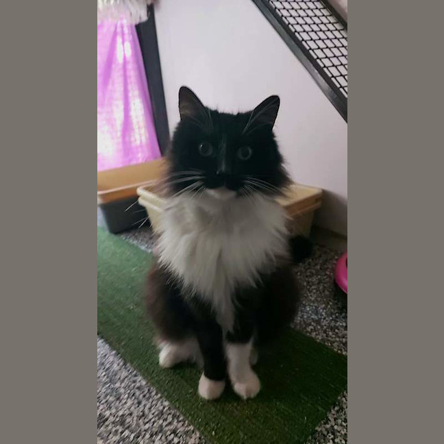 Photo of Coco