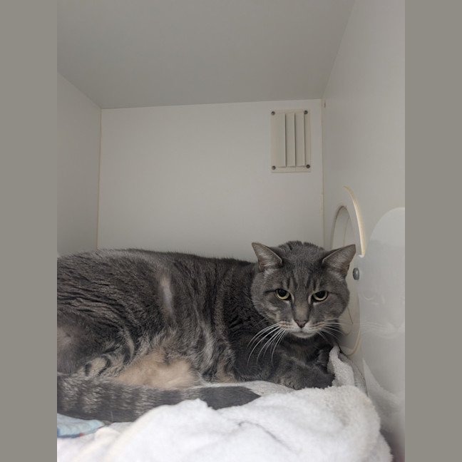 Photo of Ragnar