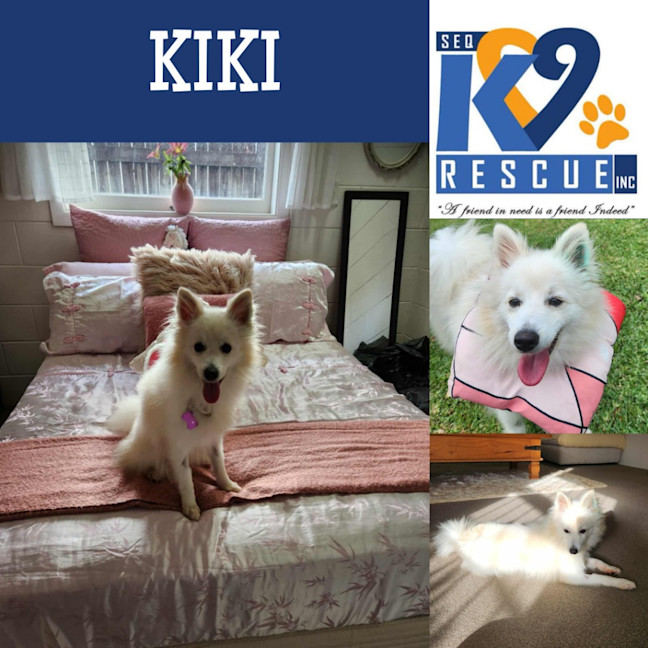 Photo of Kiki