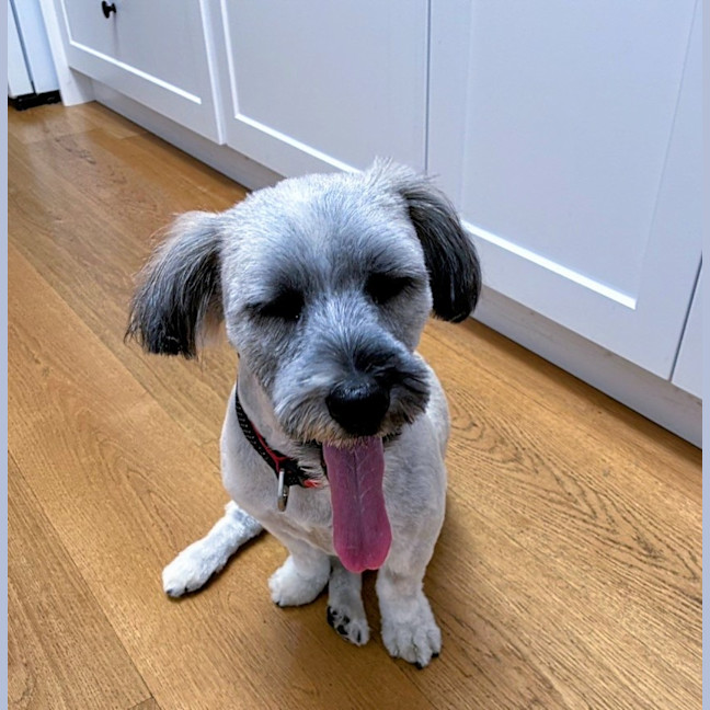Photo of Maggie