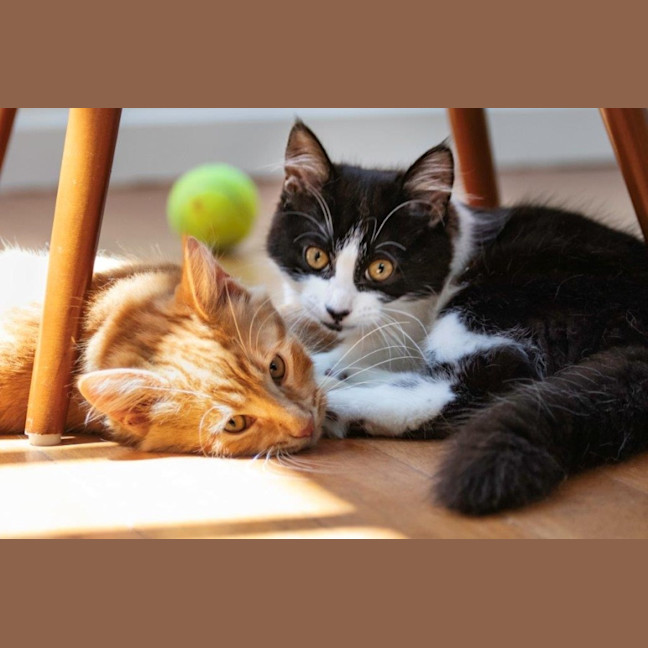 Photo of Gretel Moriarty