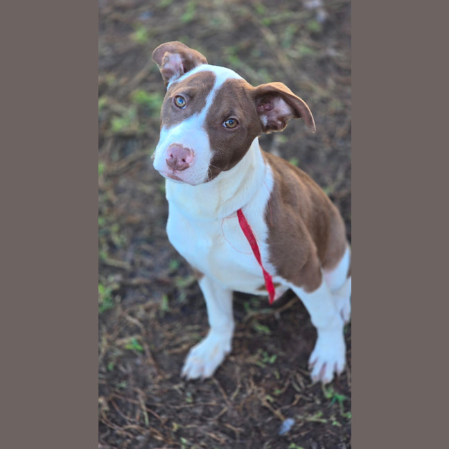 Photo of Twist