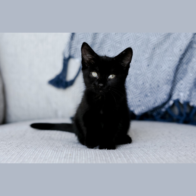 Photo of Wednesday