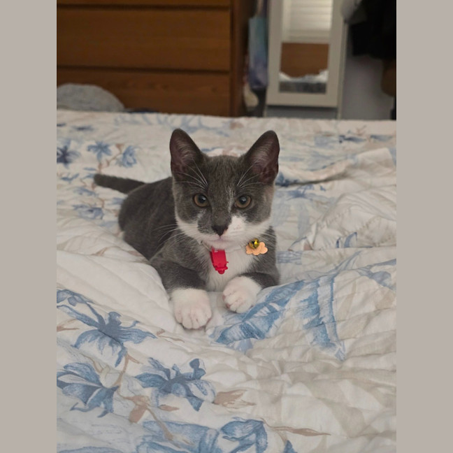 Photo of Celia