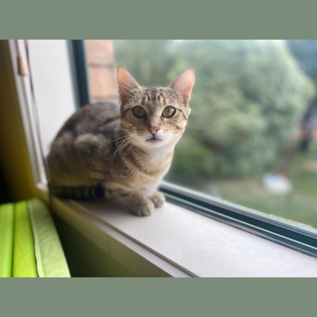 Photo of Betty & Olivia ❤️