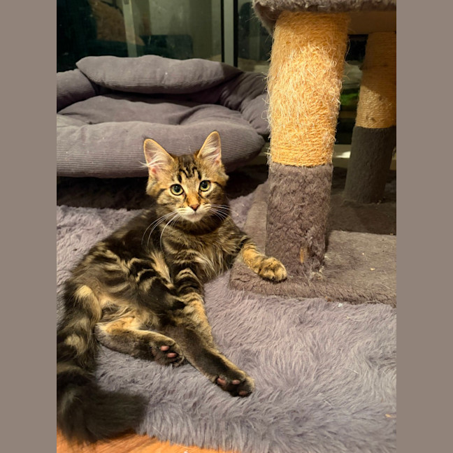 Photo of Friday & Woody