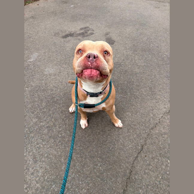 Photo of Nala