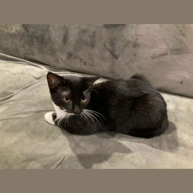 Photo of Baby & Belle