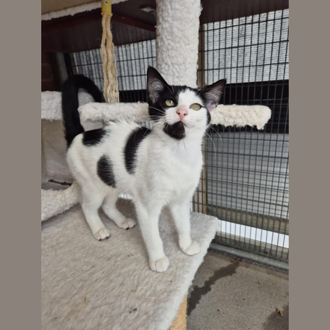 Photo of Cowgirl! 🤠