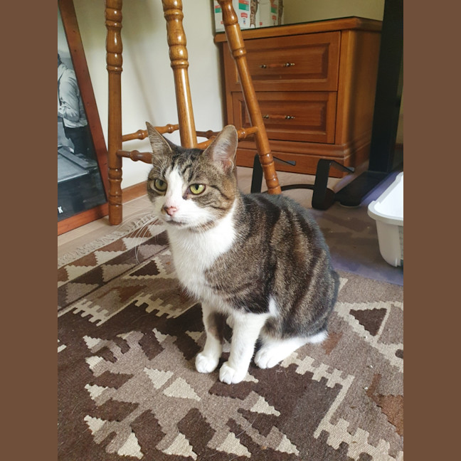 Photo of Boots