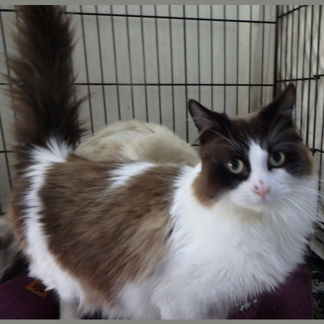 Photo of Avi And Pikachu