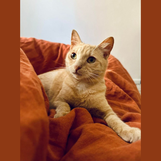 Photo of Abigail   Located In Fairfield