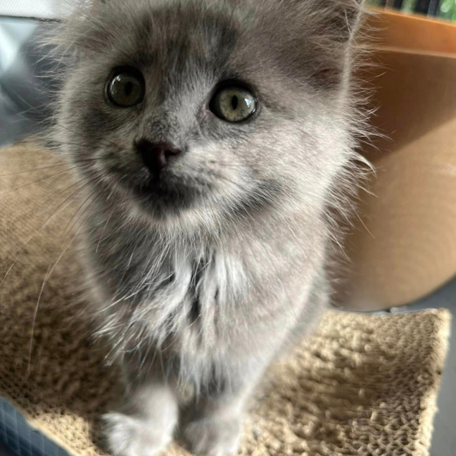 Photo of Cloud