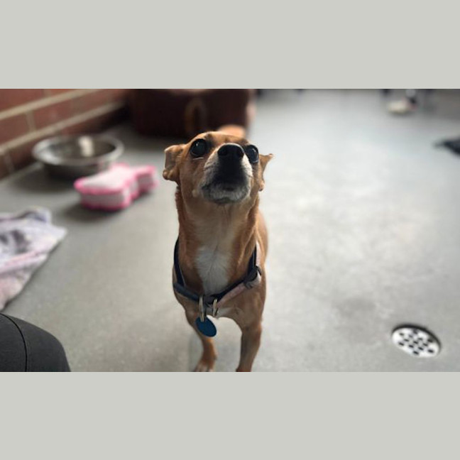 Photo of Tuna