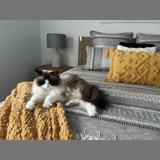 Photo of Sissi
