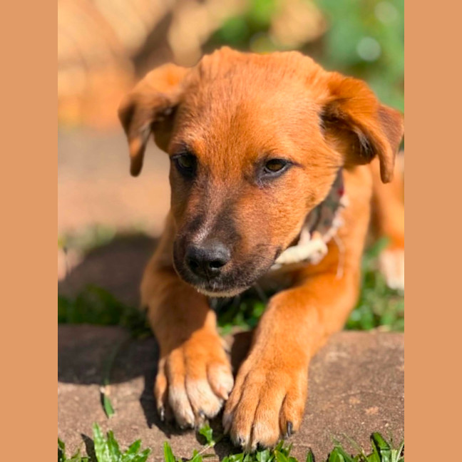 Photo of Jet Lee