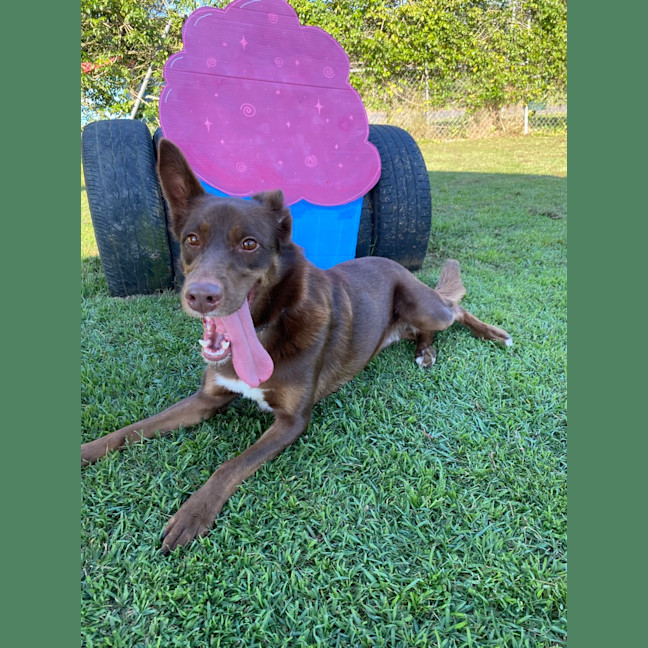 Photo of Maggie