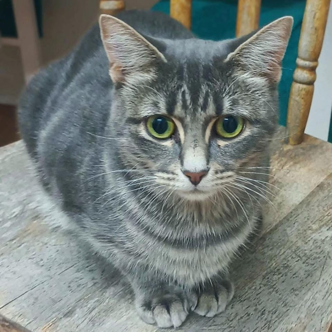 Photo of 11575   Kate