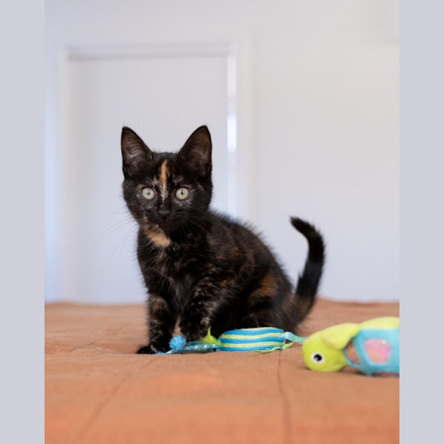Photo of Tilly