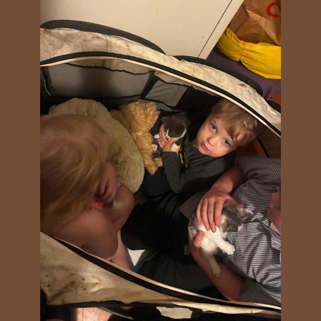 Photo of Penguin And Juniper