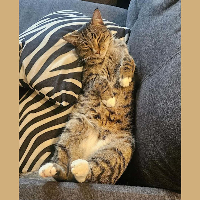 Photo of Leo