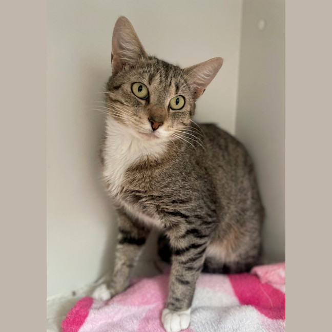 Photo of Arwen (9076)