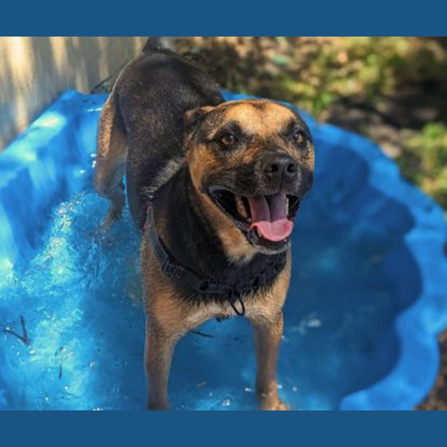 Photo of Cleo