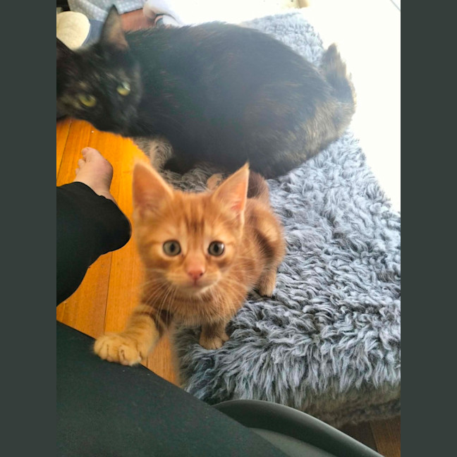 Photo of 🧡 G A R Y 🧡